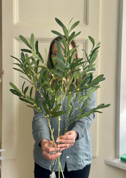 Ветка Оливы искусственная с лампочками для декора интерьера