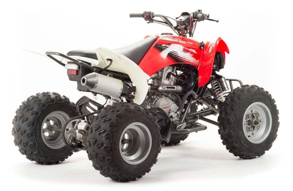 Квадроцикл MOTOLAND 125S (2020 Г.)