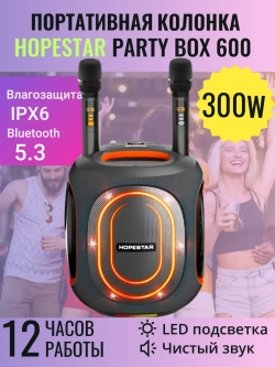 Портативная колонка Party 600, 300Вт, серый