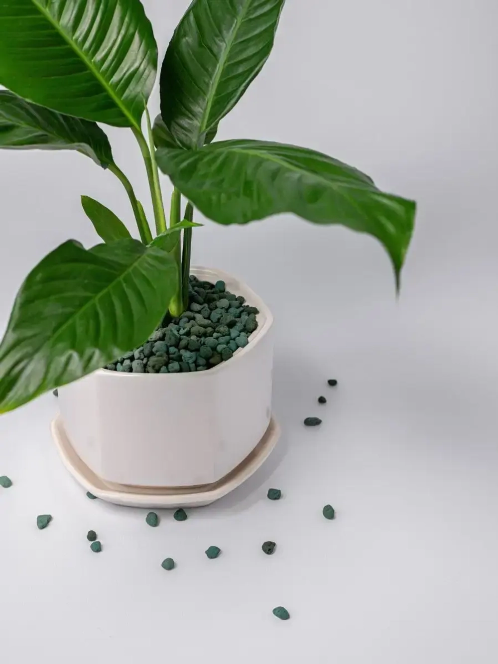 Дренаж для цветов и растений микс зелёный