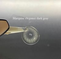 Темно Серые линзы c окантовкой на 12 мес. Marquise elegance dark gray/Цветные темно серые линзы для темных и светлых глаз