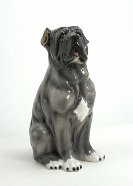 Boxer Мастино