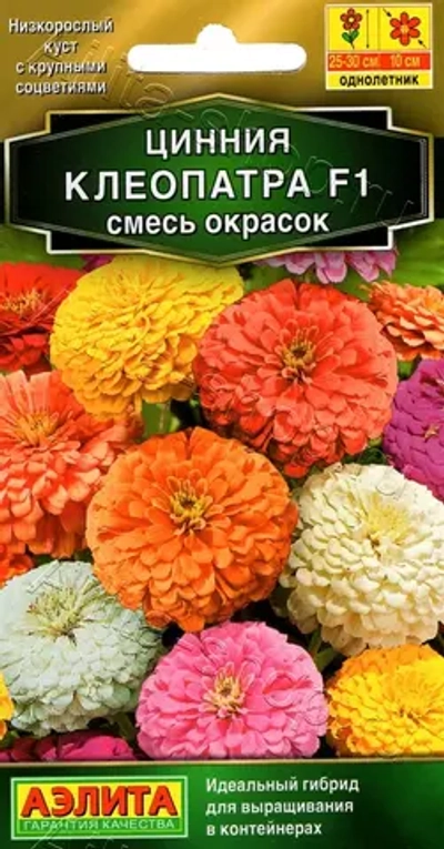 Цинния Клеопатра F1, смесь окрасок 12шт (Аэлита)