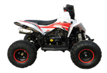 Детский квадроцикл бензиновый MOTAX GEKKON 90 cc 1+1 (Реверс)