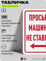 Табличка для парковки "Просьба машины не ставить", для дома, офиса, организаций, 40х30 см, Silver Plane x Айдентика Технолоджи