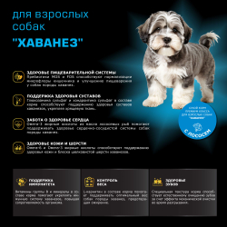 Корм сухой для взрослых собак породы Хаванез, с лососем, 800 гр, QUATTRO
