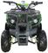 Электроквадроцикл AVANTIS ATV Classic 8E (1000W)