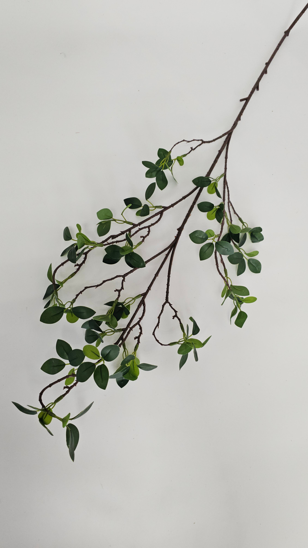 Ветка колючки / Арт 3055