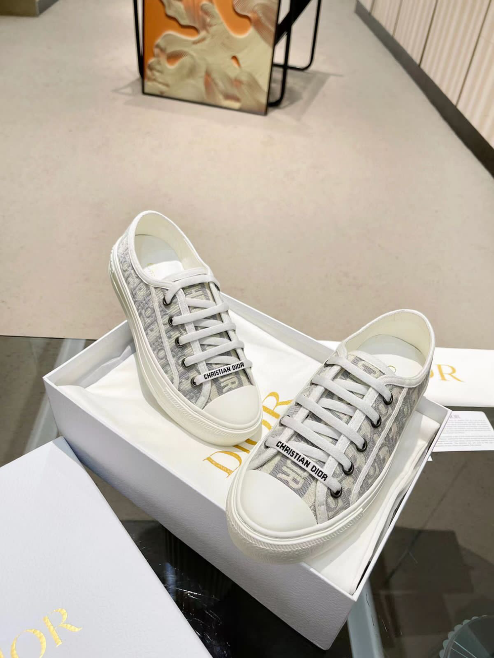Кеды Christian Dior