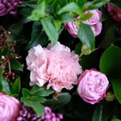 Нежный букет с премиум-хризантемами "Сокровенное"