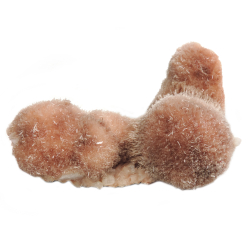 Томсонит(цеолит) минерал асс.