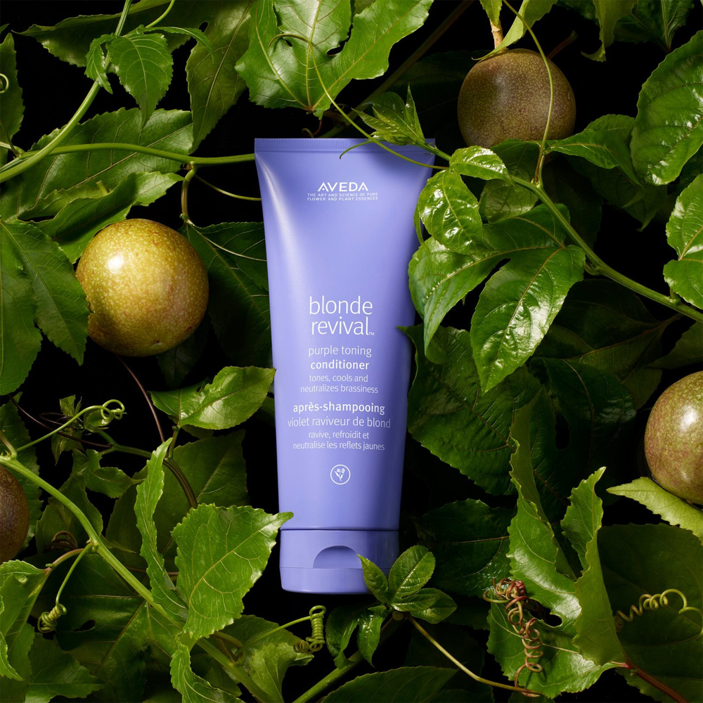 Aveda Blonde Revival Purple Toning Shampoo - фиолетовый тонирующий шампунь /   40  ml  / GTIN 018084030417