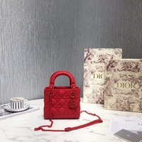 Christian Dior Lady Dior 17 cm