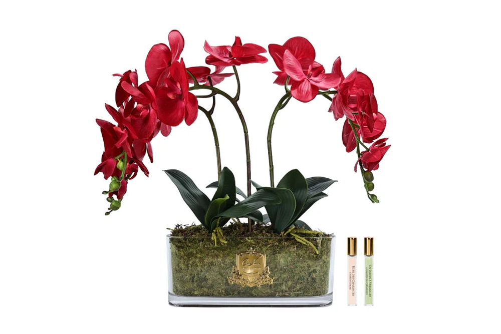 Букет ароматический Oval Orchid Red