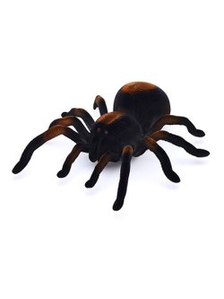 Игрушка радиоуправляемая Паук Тарантул (58620A)