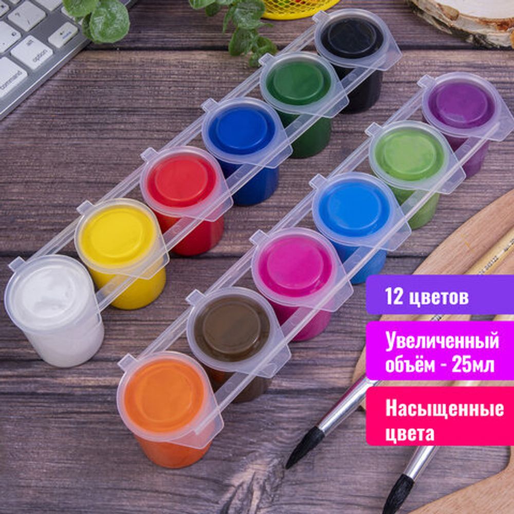 Гуашь BRAUBERG "PREMIUM", 12 цветов по 25 мл, 191700