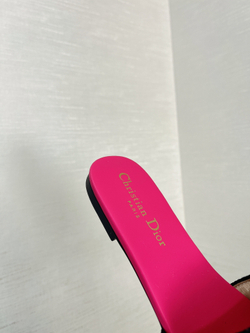 Christian Dior Dway Slide (11 colors)
