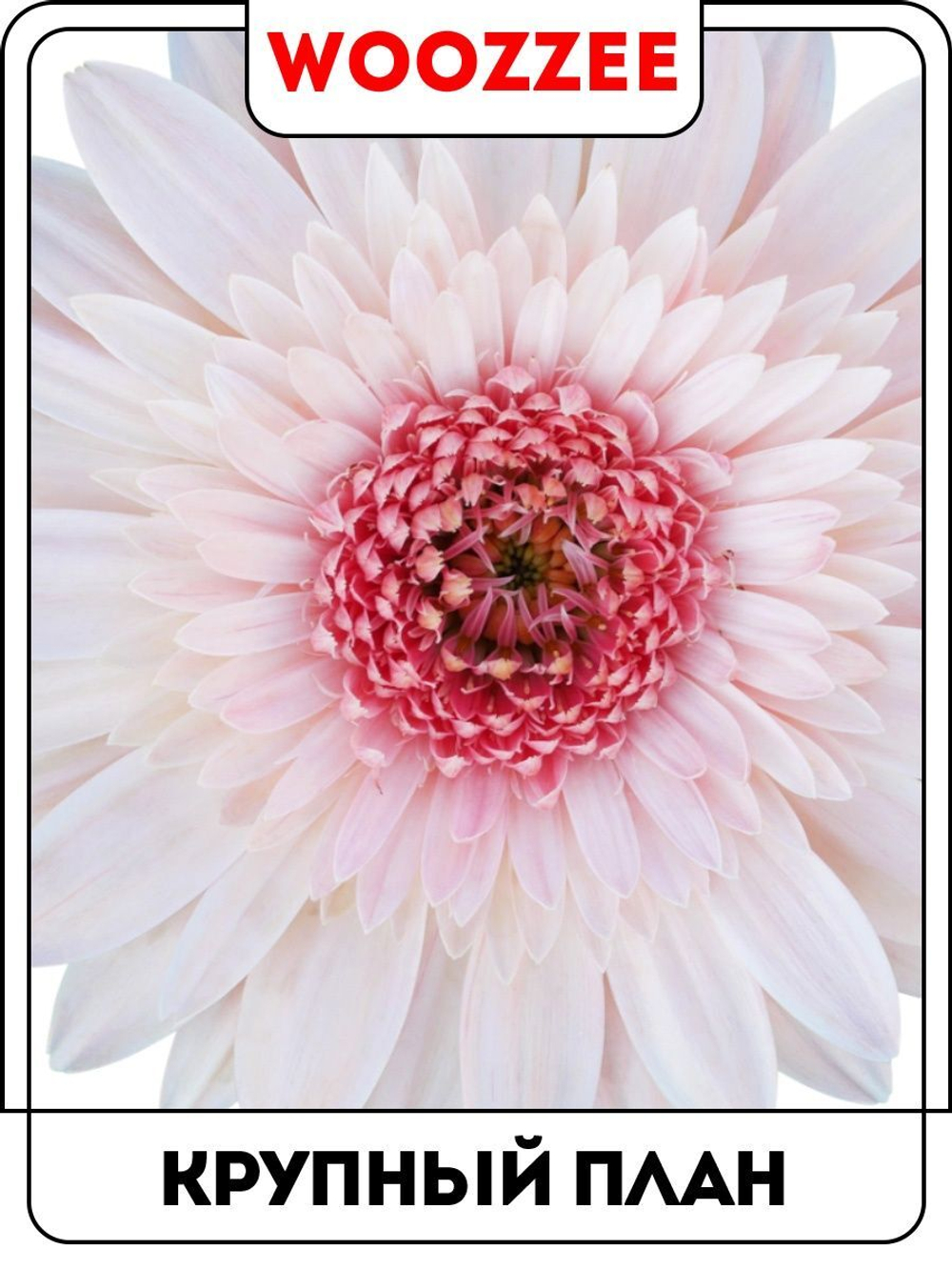 Наклейки-стикеры "На Пасху Цветочки"