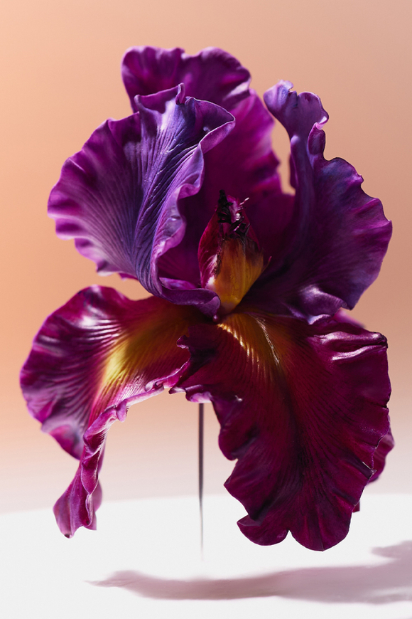 Брошь Ирис, лиловый