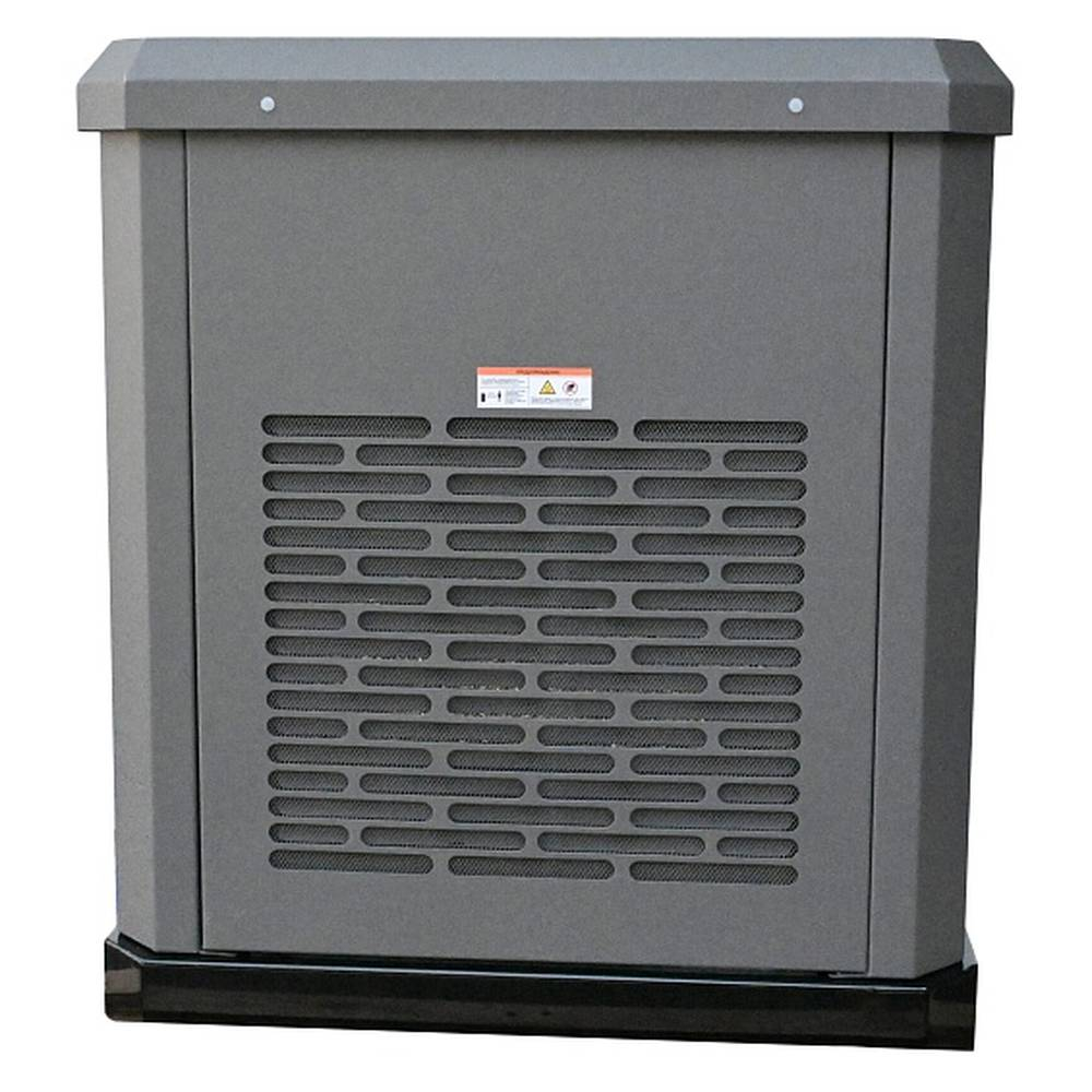 Генератор газовый EVOline GNG 19000 E (адаптированный)