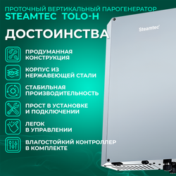 Steamtec TOLO H 60 - 6 кВт, вертикальный парогенератор, 220В\380В (объем парной 5-7 м3)