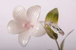 Бра Abrasax 40032 STY40032/1В