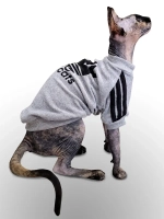 Одежда для кошек