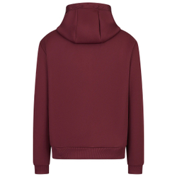 Мужская теннисная кофта EA7 Man Jersey Sweatshirt - красный