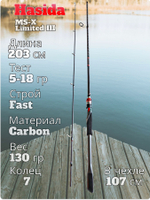 Cпиннинг Hasida MS-X Limited III тест 5-18 гр длина 203 см