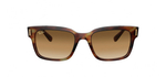 Очки Ray-Ban Jeffrey RB2190 954/33 / 55 мм