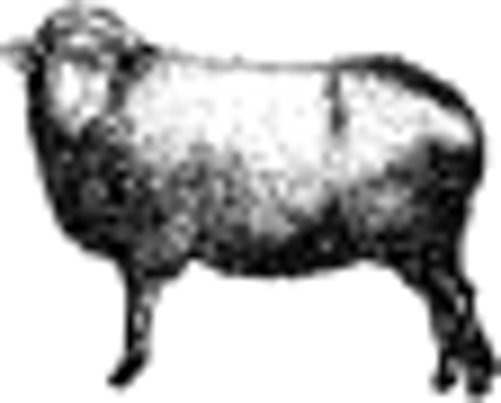 носки MUND, 401 Aconcagua, цвет серый, размер XL (46-49)