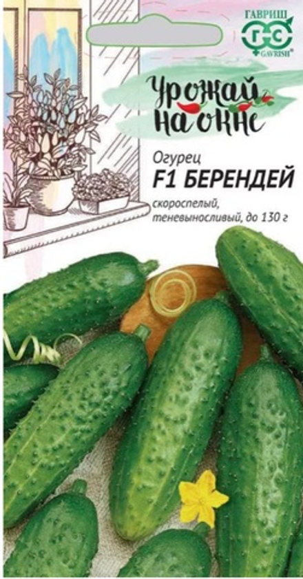 Огурец Берендей F1