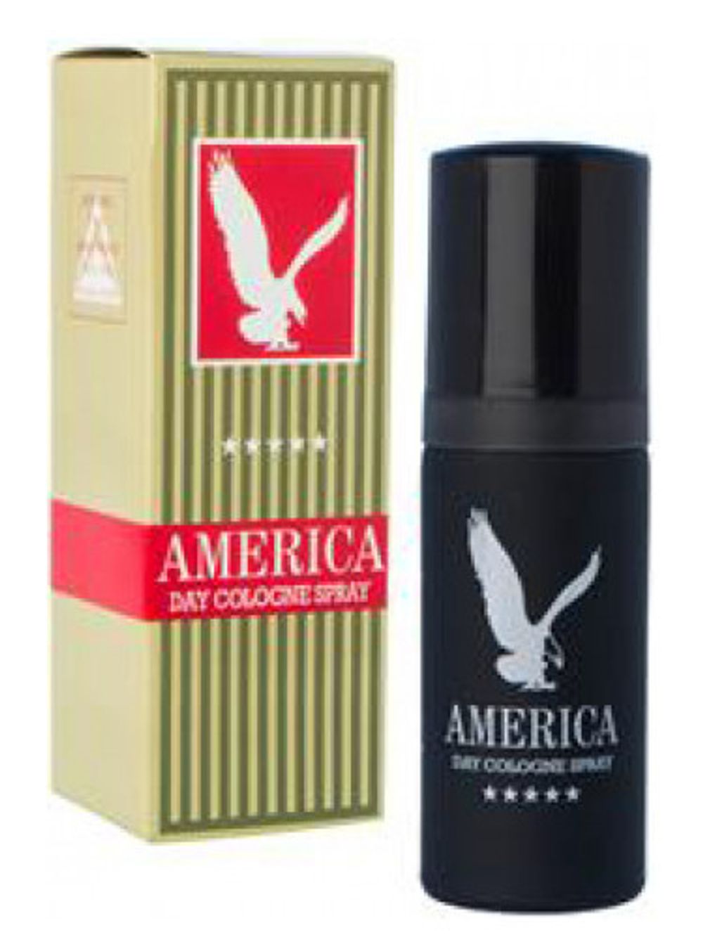 Milton Lloyd America Day