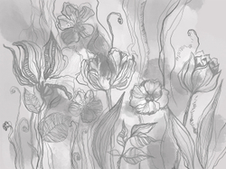 Коллекция ASTRAL 22