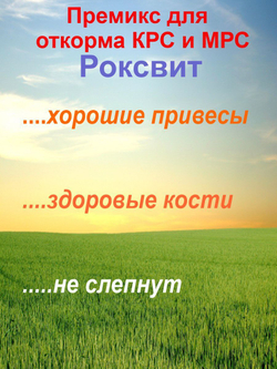 премикс для откорма крс и мрс
