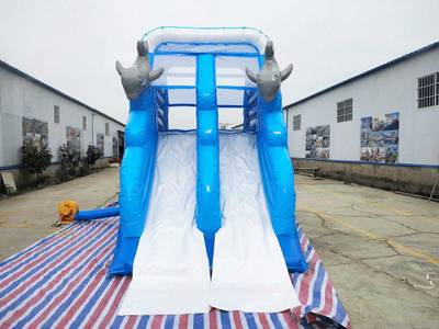 Водная надувная горка «Дельфинчики», 6*3*4 м