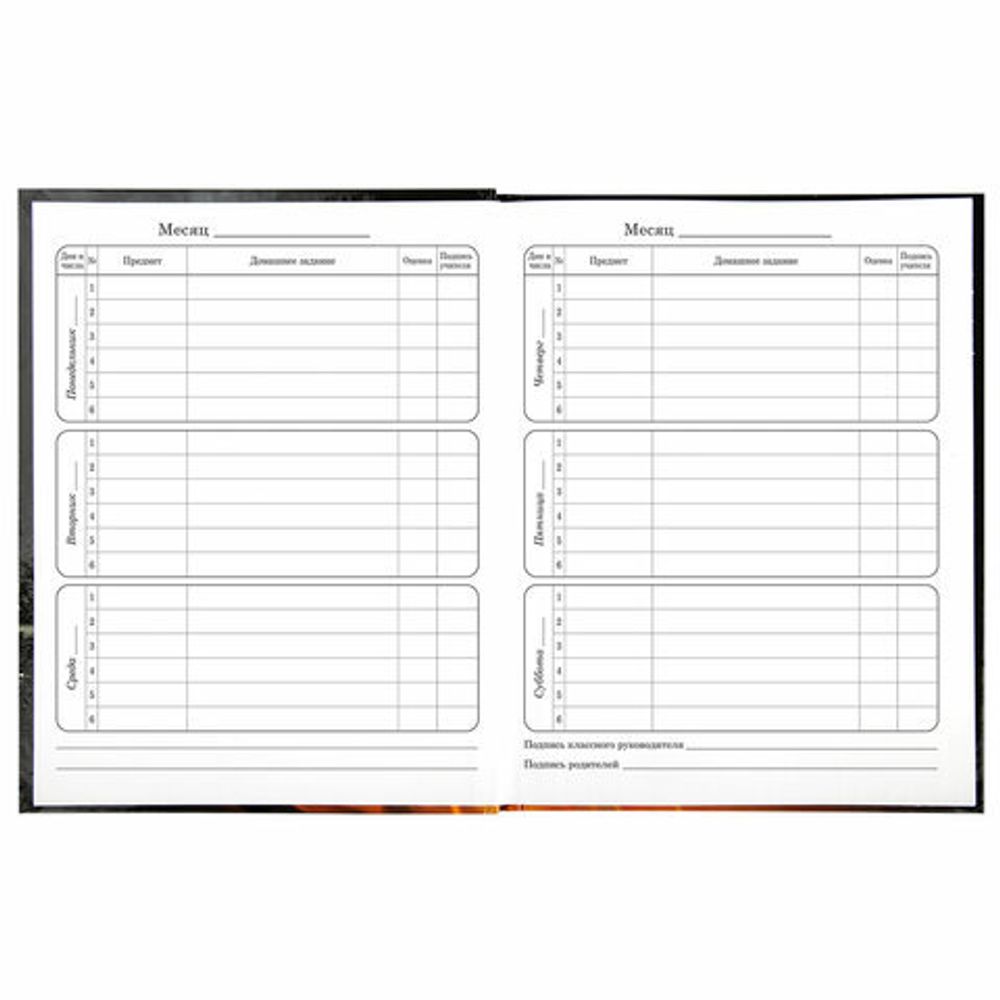 Дневник 1-4 класс 48 л., твердый, BRAUBERG, глянцевая ламинация, с подсказом, "Fire Road", 106356