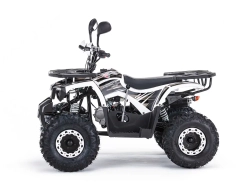 Квадроцикл MOTAX ATV Grizlik 125 cc