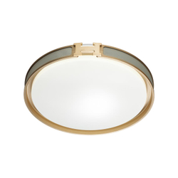 7654/EL COLOR SN 132 Светильник пластик/серый/золот LED 70Вт 3000-6000К D505 IP43 пульт ДУ FAVEMO GREY