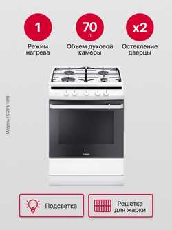 Газовая плита Hansa FCGW61000