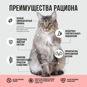 Пауч BOWL WOW для стерилизованных кошек с лососем с овощами, кусочки в соусе