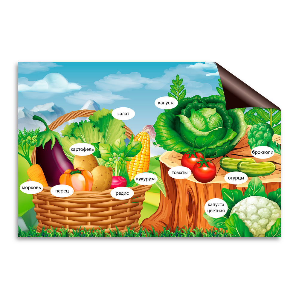 Тематический виниловый элемент Овощи. Серия Природа 166000751