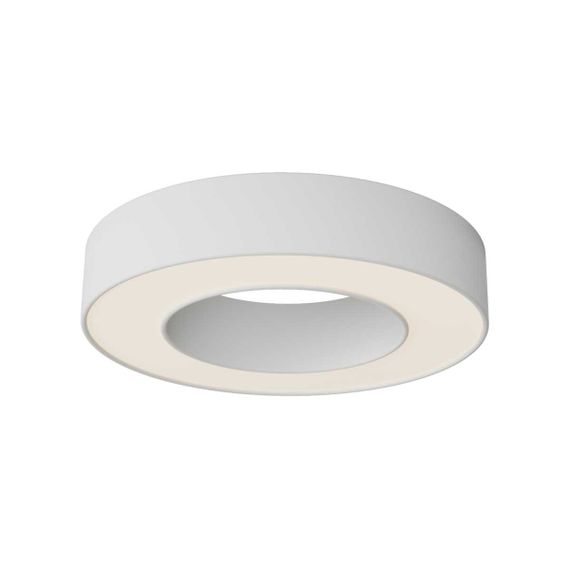 Потолочный светильник Maytoni Technical C093CL-24W3K-W