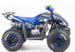 Квадроцикл MOTOLAND (МОТОЛЕНД) 125 COYOTE