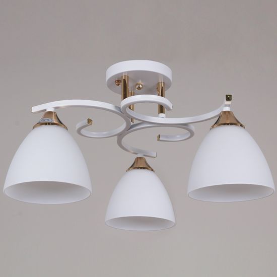 05009-0.3-03 WH+FG светильник потолочный