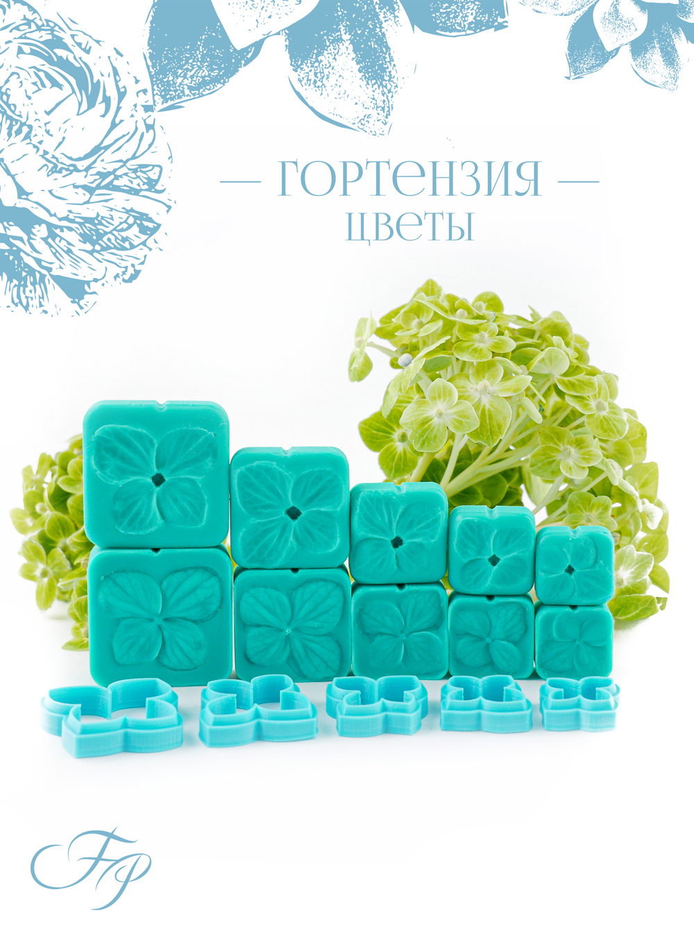 Гортензия цветы