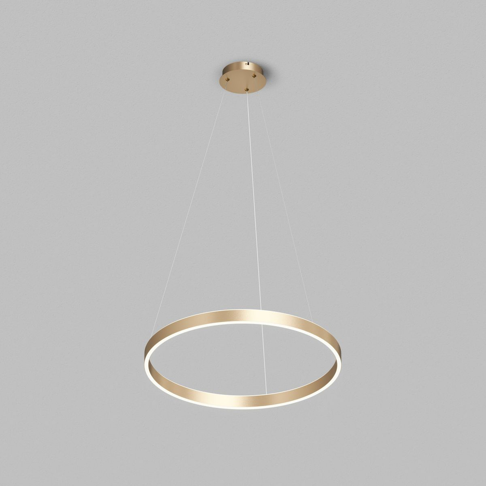 Подвесной светодиодный светильник Denkirs Raydia DK6273-SG