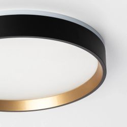 Citilux ETALON CL750241 LED Светильник с подсветкой Чёрный+Золото