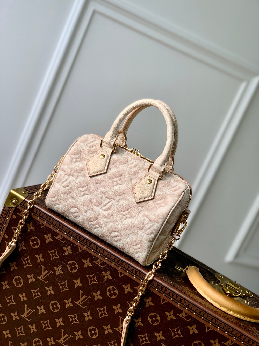 Louis Vuitton Speedy 20