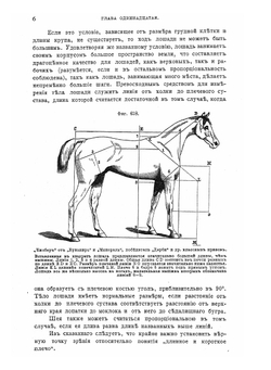 Книга о лошади. Том 2. Настольная книга для каждого владельца и любителя лошади. Графа К. Г. Врангеля | К. Врангель